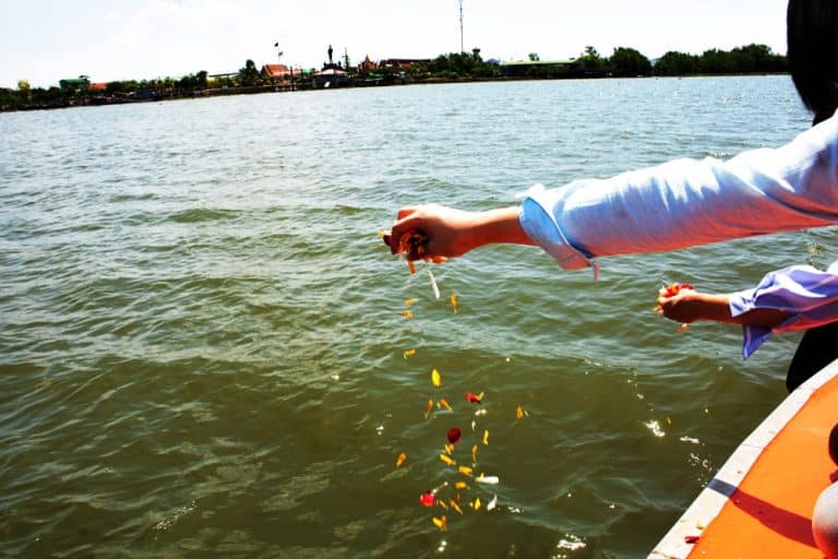 A person wearing a light blue shirt scatters flower petals into the water from a boat during a serene burial at sea in Nassau County. The sun is shining brightly, and a distant shoreline with trees and buildings is visible.